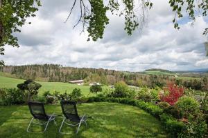 dwa krzesła siedzące w trawie w ogrodzie w obiekcie Ferienwohung Forestdreams w mieście Weilheim
