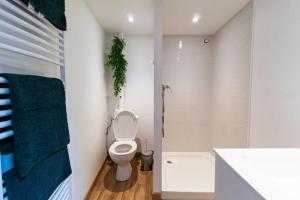 La salle de bains blanche est pourvue d'une douche et de toilettes. dans l'établissement Le charmant accueil viennois/T2/wifi/cosy/parking, à Poitiers