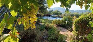 Elle offre une vue sur un jardin doté d'une piscine. dans l'établissement Villa avec piscine, vue panoramique ste victoire, à Simiane-Collongue