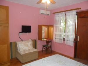 TV a/nebo společenská místnost v ubytování Apartmani Yucca