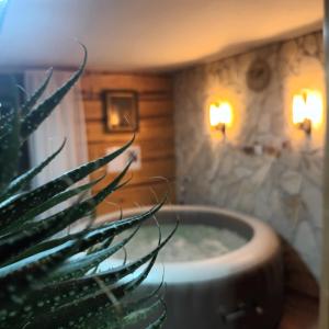een badkamer met een bad en een potplant bij PLITVICE MAGIC in Rudanovac