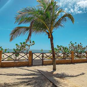 a palm tree on the beach next to a fence at BEACH HOUSE - Loggia Suite 4 - com cozinha - na praia -BEACHFRONT in Barra Grande