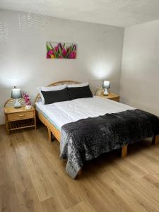 um quarto com uma cama grande e duas mesas de cabeceira em Apartman Zlatan em Sarajevo