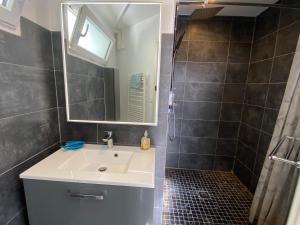 bagno con lavandino e doccia con specchio di Appartement privé à la Villa Paradis de Valcros a La Londe-les-Maures