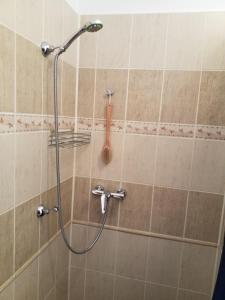 a shower with a shower head in a bathroom at Green Apartment in Františkovy Lázně