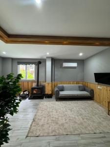 a living room with a couch and a fireplace at Karadeniz Suit in Rize