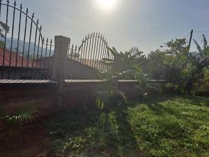Zahrada ubytování Villa Valentine
