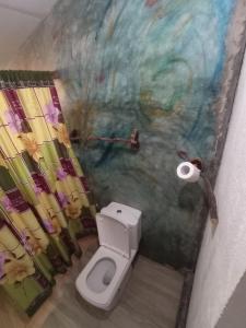Bundala Resort في تيساماهاراما: حمام مع مرحاض و لوحة على الحائط