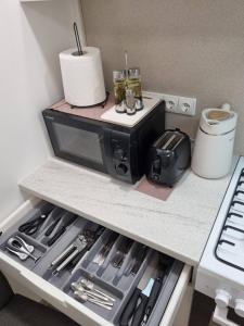 a kitchen with a toaster oven on a counter at Trumpalaike buto nuoma in Rokiškis