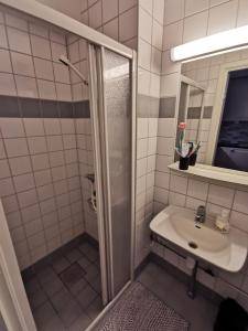a bathroom with a shower and a sink at Leilighet på Bjorli Apartment in Bjorli