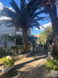 Zahrada ubytování Hotel La Torraccia