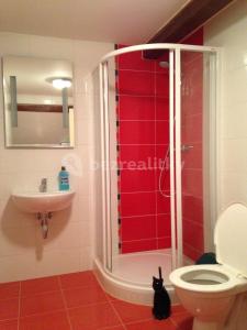 Fotografia z galérie ubytovania Flamingo Family Apartment v destinácii Český Krumlov
