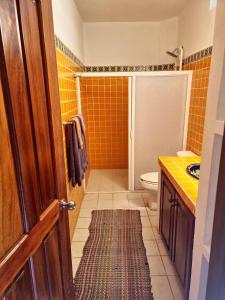 een badkamer met een douche, een toilet en een wastafel bij La Posada Pacifica in Puerto Vallarta