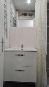 ein weißes Bad mit einem Waschbecken und einer Dusche in der Unterkunft Appartement Arago in Roanne