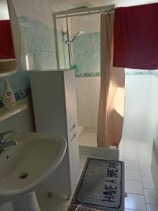 een badkamer met een wastafel en een douche bij NIOLU in Albertacce