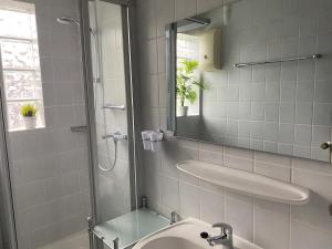 La salle de bains est pourvue d'un lavabo et d'une douche avec un miroir. dans l'établissement Ferienwohnung 1 Am Petersberg, à Neef