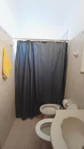 La salle de bains est pourvue d'une douche, de toilettes et d'un lavabo. dans l'établissement Dunas Doradas, à Tinogasta