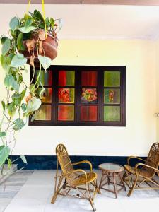 Posezení v ubytování VEDHA AYURVEDIC panchakarma treatment centre