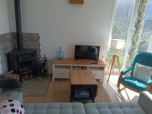 salon z kanapą, telewizorem i kominkiem w obiekcie O Salgueiral w mieście Castro Caldelas