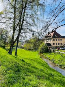 a grassy field with a house and a river at schloss1 in Selb