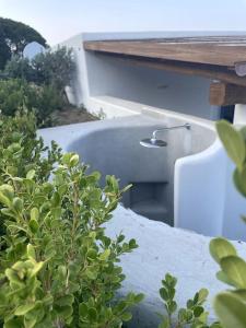 a green bush in front of a building at Villa Maris - accesso diretto alla spiaggia in Santa Marina Salina