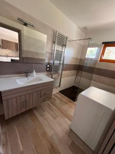 a bathroom with a sink and a mirror and a shower at SWEET HOME DUINO in Duino