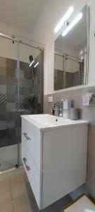 a bathroom with a sink and a shower at BARBARA Classy Apartment 102 in Syracuse +78 photos