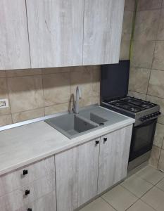 uma cozinha com um lavatório e um fogão em Casa Rustica Cernica em Cernica
