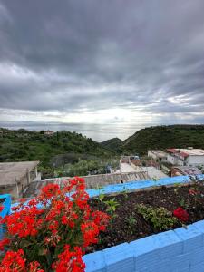 路克維的住宿－Selami Sea View Apartments，花花园里的一束红花