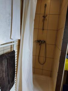 y baño con ducha y cortina de ducha. en Brussels Appartment en Bruselas