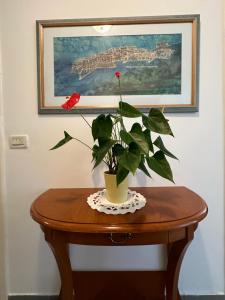 Fotografia z galérie ubytovania Apartment Golden Creek Magic View v Dubrovníku