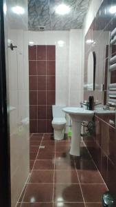 ein Badezimmer mit Toilette und Waschbecken in der Unterkunft ES hotel kolifey in Oğuz + 26 Fotos