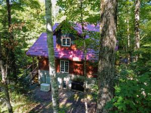 Gallery image of Dingle Run Lodge at Sir Sam's in Haliburton +42 photos