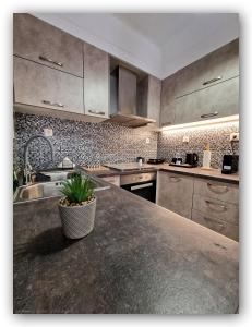 a kitchen with stainless steel appliances and a plant on the counter at Lido by Welcome Home in Ermoupoli +21 photos