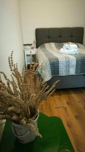 Fotografie z fotogalerie ubytování Apartman Ivana v destinaci Klek