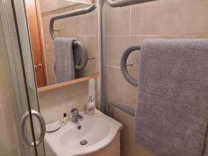 La petite salle de bains est pourvue d'un lavabo et d'un miroir. dans l'établissement Cozy apartment, à Vilnius