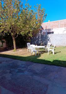une table et des chaises assises sur l'herbe à côté d'un arbre dans l'établissement Dunas Doradas, à Tinogasta