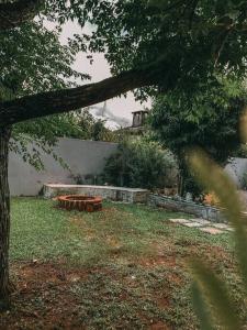 伊格雷日尼亞的住宿－Apto Aventus，一座有树和挡土墙的院子