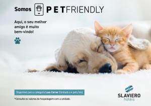 een hond en een kat liggen naast elkaar bij FULL JAZZ by Slaviero Hotéis in Curitiba