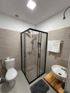 een badkamer met een douche, een toilet en een wastafel bij Ravne Energy Apartments in Visoko