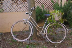 B&B Aurora في ييلسا: ركن الدراجة بجوار شجرة مع سلة