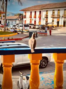 un pájaro sentado en la parte superior de una valla en Hospedaje Camino Real a 150 MTS del centro en Salento