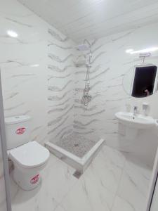 ein weißes Bad mit einem WC und einem Waschbecken in der Unterkunft Cozy Apartment In Old Town Kutaisi in Kutaissi