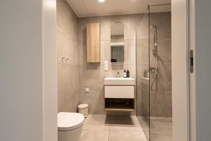 a bathroom with a toilet and a sink and a shower at 2HomeRent Shellter 117/Ł in Rogowo