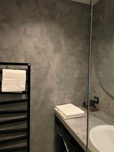 グレウー・レ・バンにあるStudio Grand Confortのバスルーム(シンク、洗濯機付)