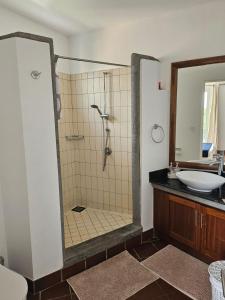 a bathroom with a shower and a sink at Casa in Terre Rouge