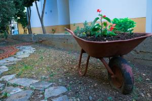 Giardino di B&B Aurora