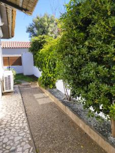a walkway in front of a house with a bush at Villa Tahitienne in Frontignan