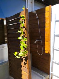 a wooden shower with a plant on the wall at Villa Tahitienne in Frontignan +17 photos