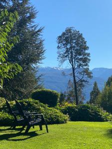 a park bench sitting in the grass near a tree at Altos del Sur Cabañas de Montaña in El Bolsón
